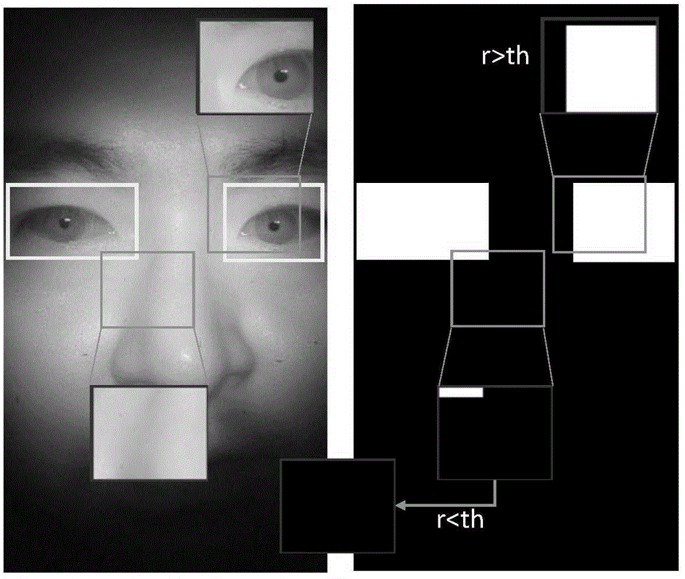 Depth-auto-encoder-based human eye detection and positioning method