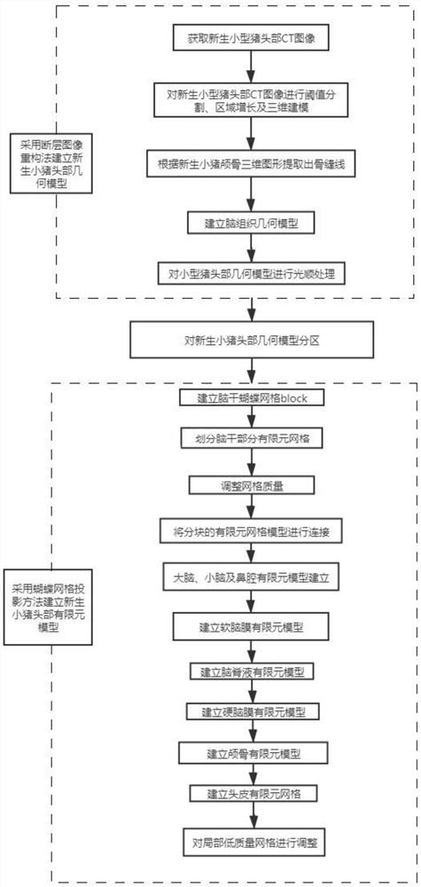 Modeling method of high-quality grid miniature pig head finite element model