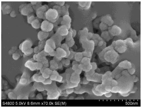 Single-cell bio-based highly hydrophobic micron powder material and preparation method thereof