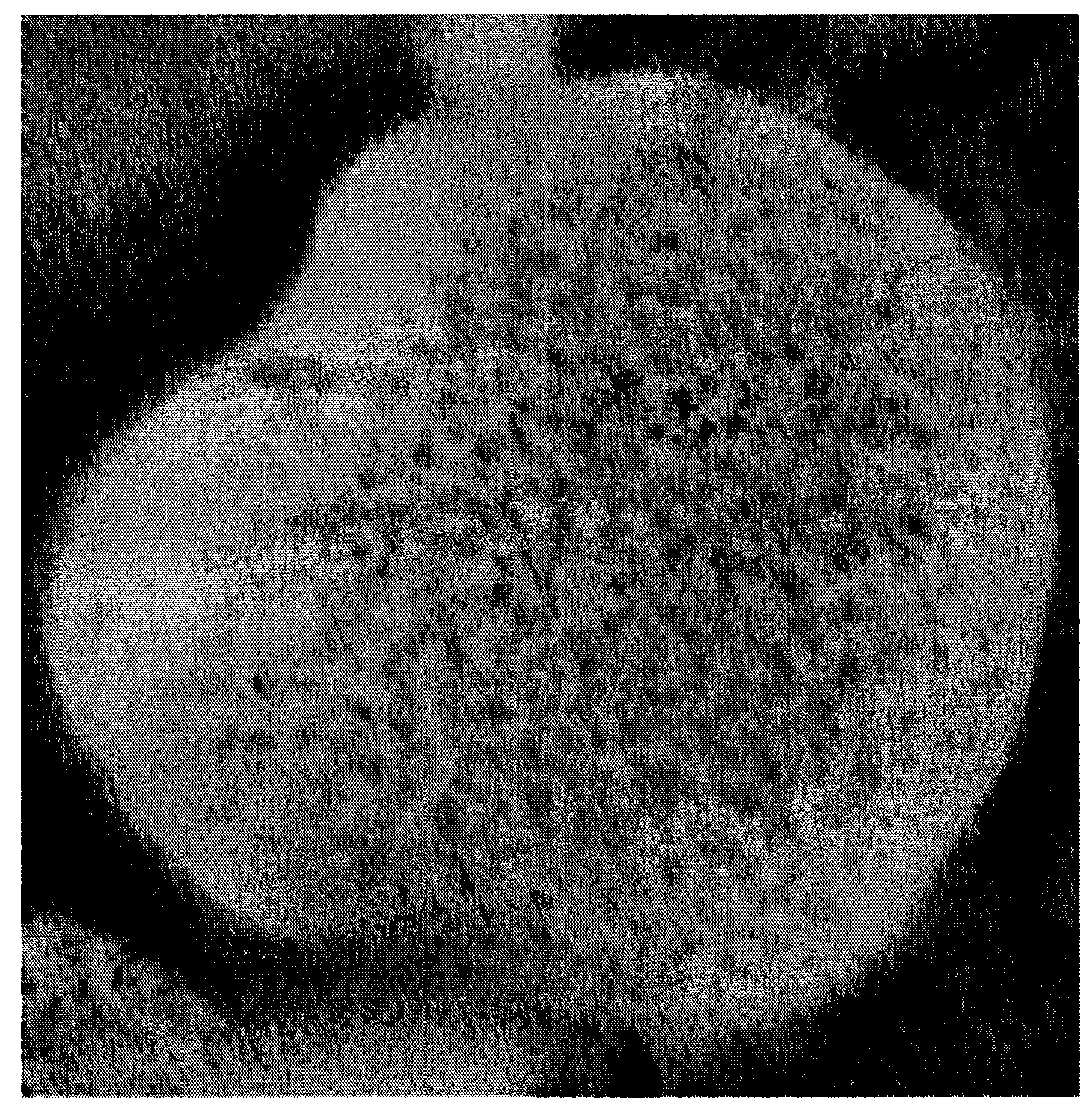 Thermoplastic resin composition, process for producing the same and molding