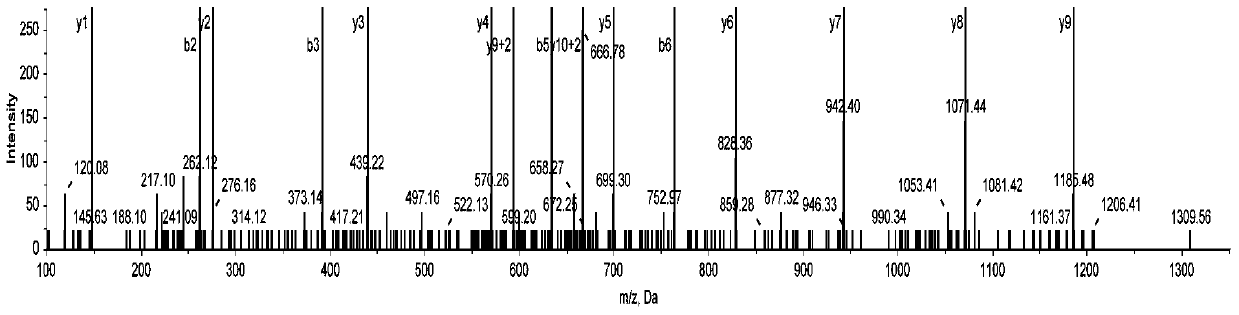 A method for identifying Haitian melons using a specific peptide group