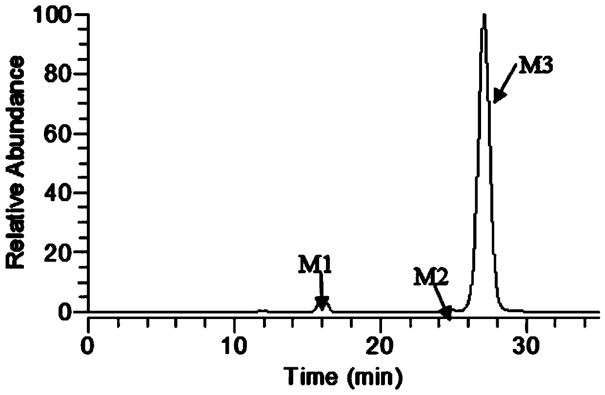 Method for separating phellodendrine glucuronic acid conjugate from urine