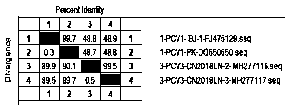 Real-time fluorescent quantitative PCR-HRM primers for detecting PCV1 and PCV3