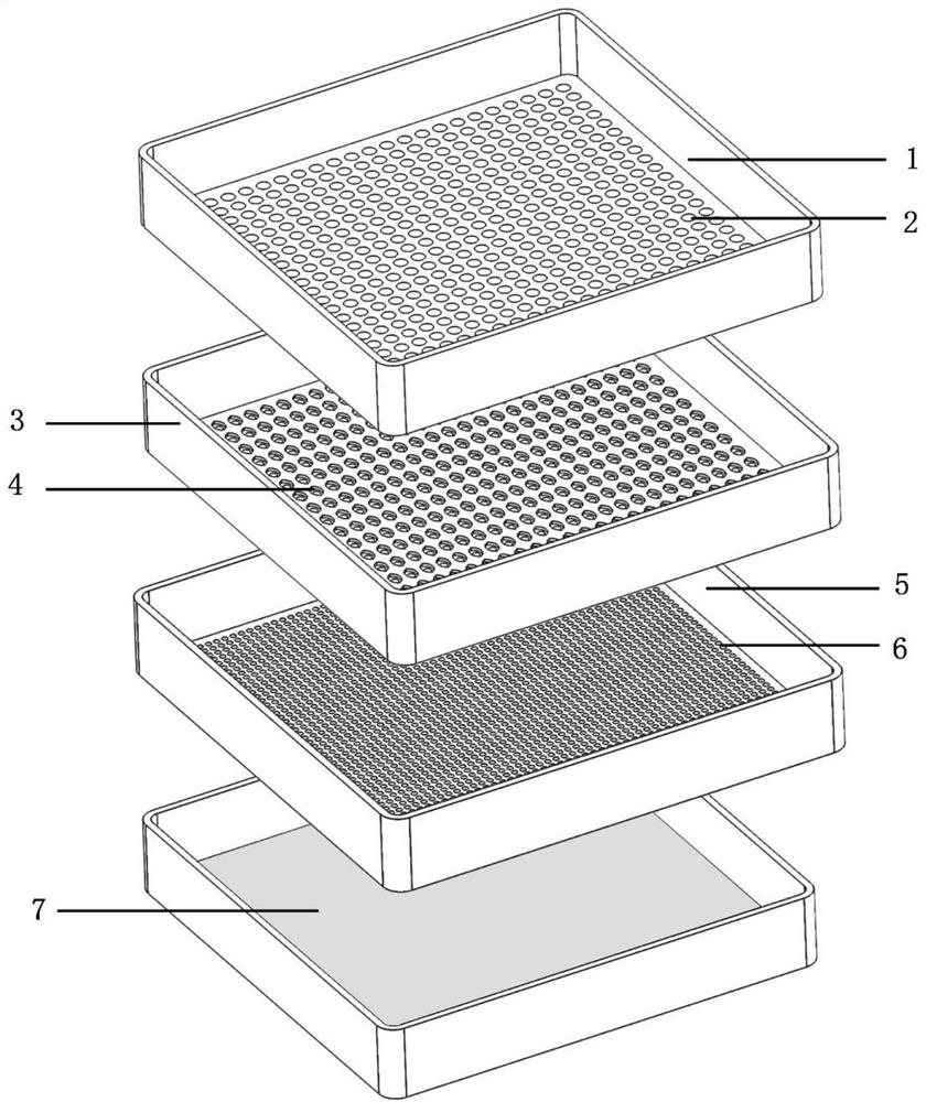 Screening and arranging device for granular crops