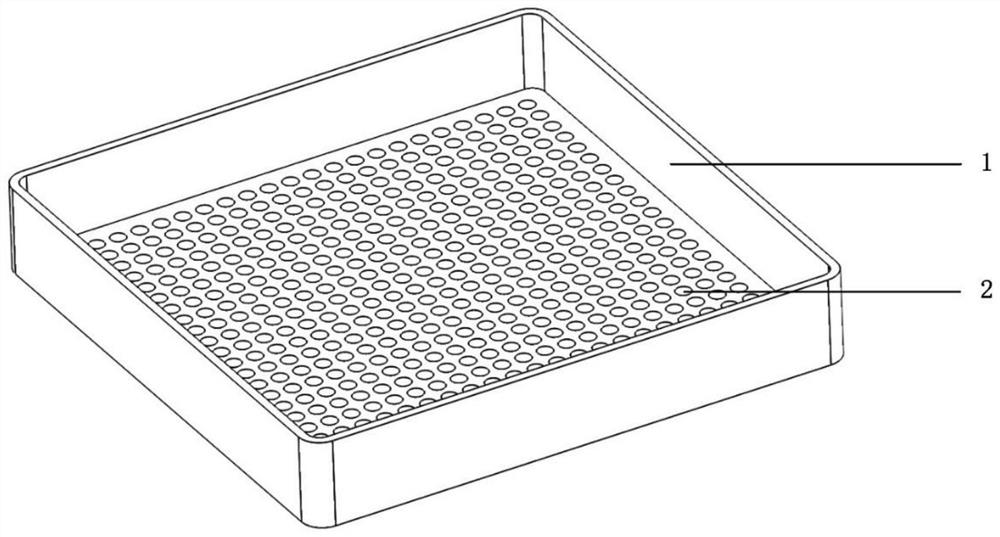 Screening and arranging device for granular crops