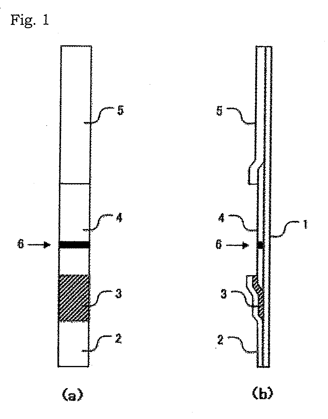 Method for measurement of sars virus nucleocapsid protein, reagent kit for the measurement, test device, monoclonal antibody directed against sars virus nucleocapsid protein, and hybridoma capable of producing the monoclonal antibody