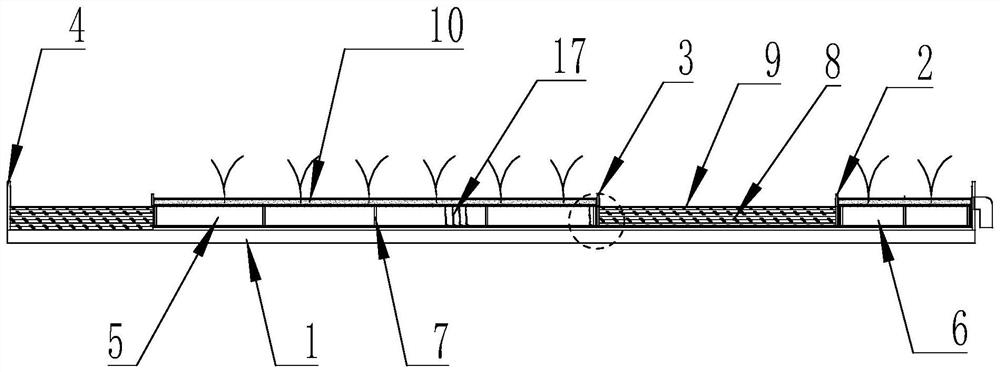 Plant protection method of rainwater retention and storage system for ecological roof greening