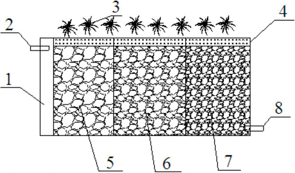 A subsurface wetland with effluent n/p suitable for the cultivation of non-toxic green algae