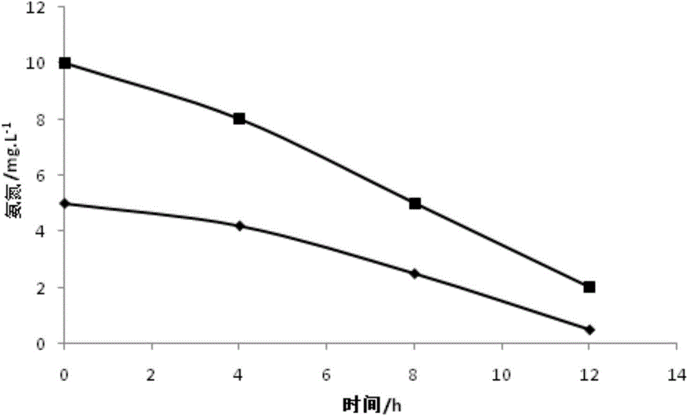 A subsurface wetland with effluent n/p suitable for the cultivation of non-toxic green algae