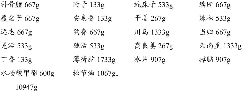 Traditional Chinese medicine topical gel and preparation method thereof
