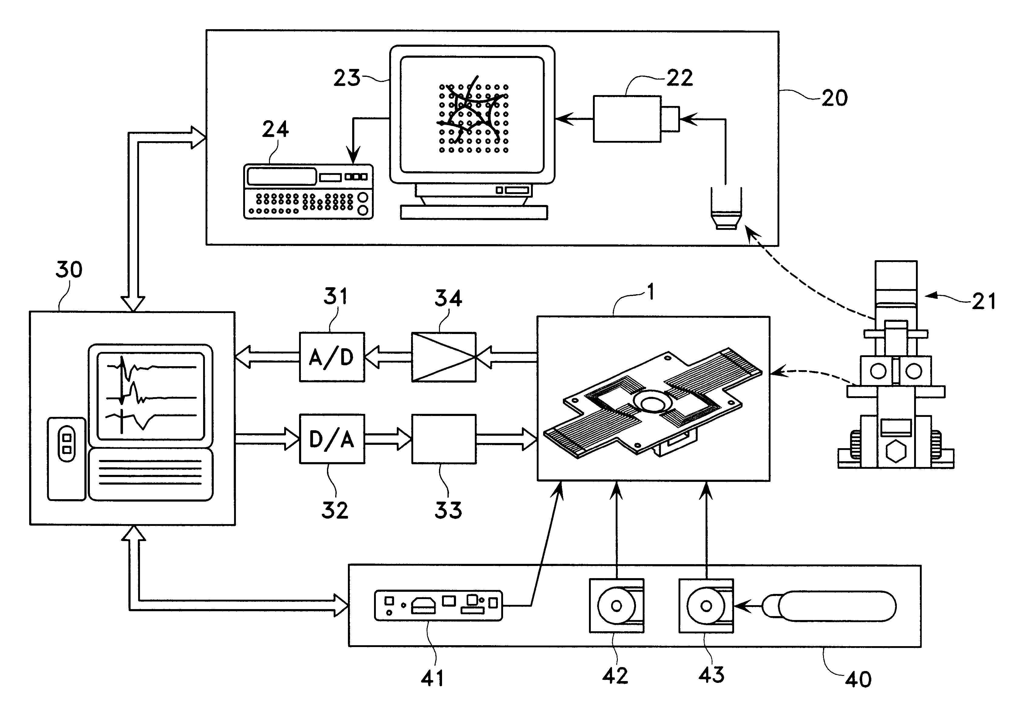 Cell potential measuring electrode and measuring apparatus using the same
