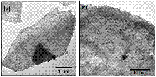 A kind of multi-dimensional heterogeneous nanostructure lithium battery cathode material and preparation method thereof