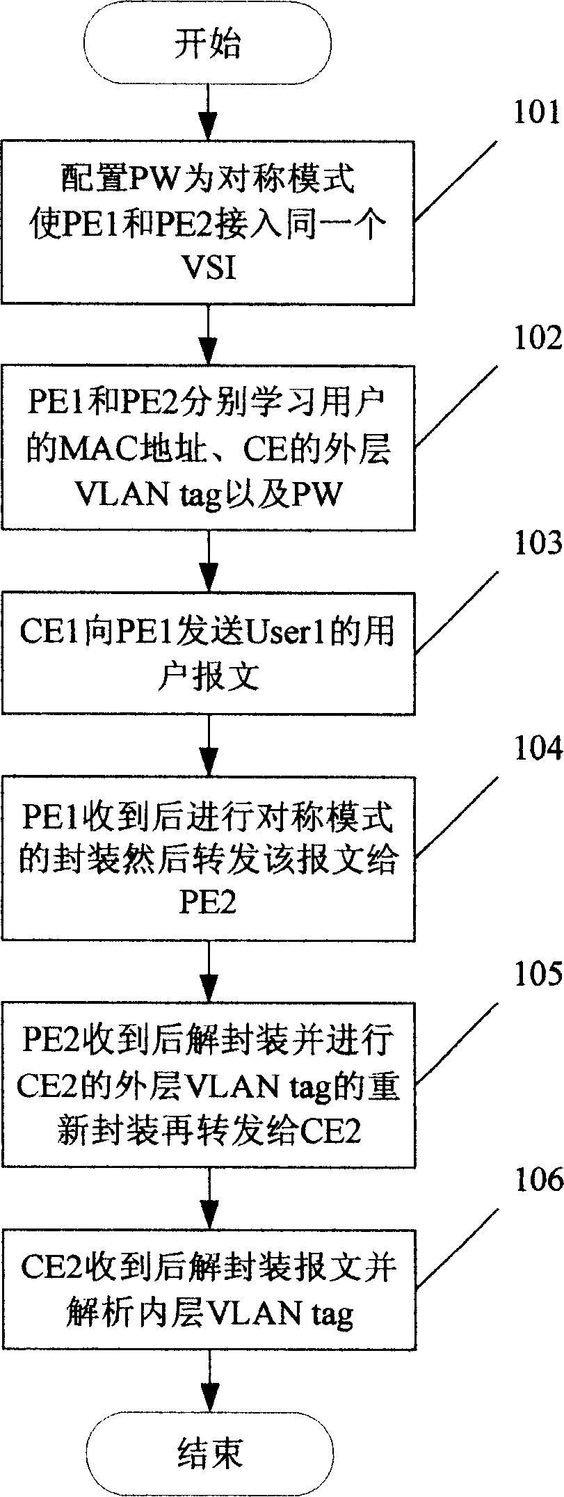 Method and system of user access virtual special LAN service