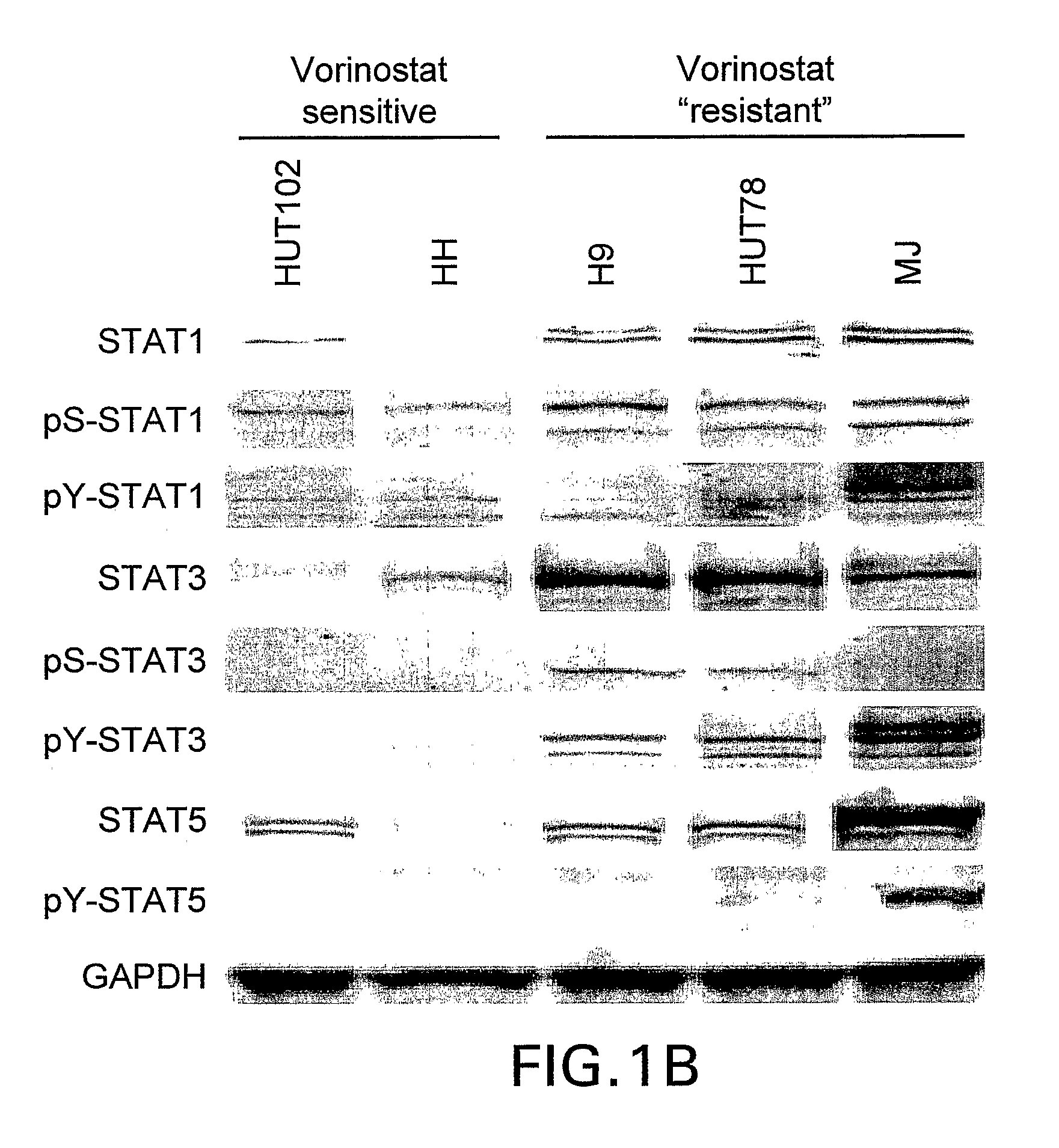 Methods for predicting treatment response based on the expression profiles of protein and transcription biomarkers