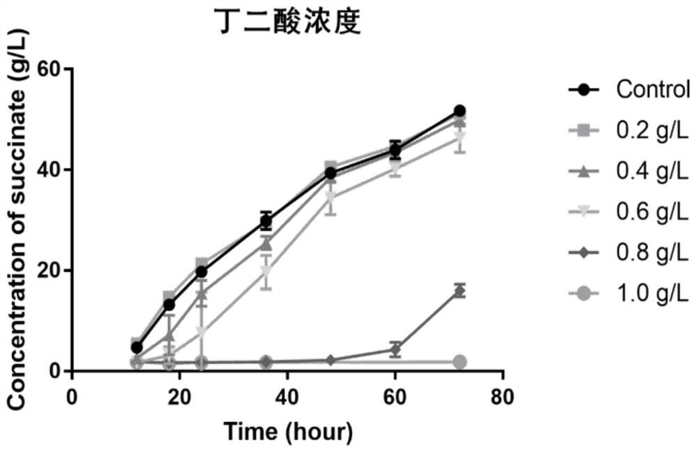 Furfural-tolerant actinobacillus succinogenes GXAS-137FM as well as breeding method and application thereof