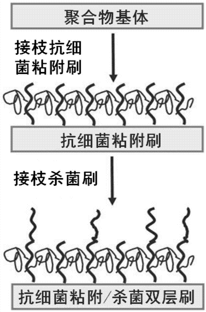 Method for preparing antibacterial surface on medical high polymer material surface