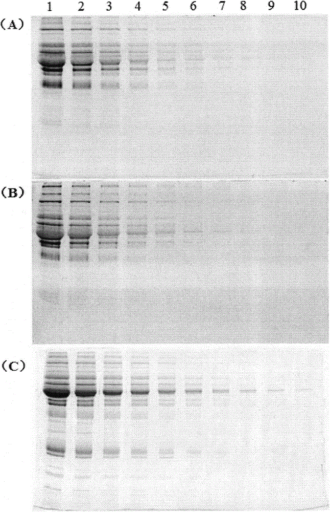Application of dansylhydrazine and derivatives thereof in specific detection of glycoprotein