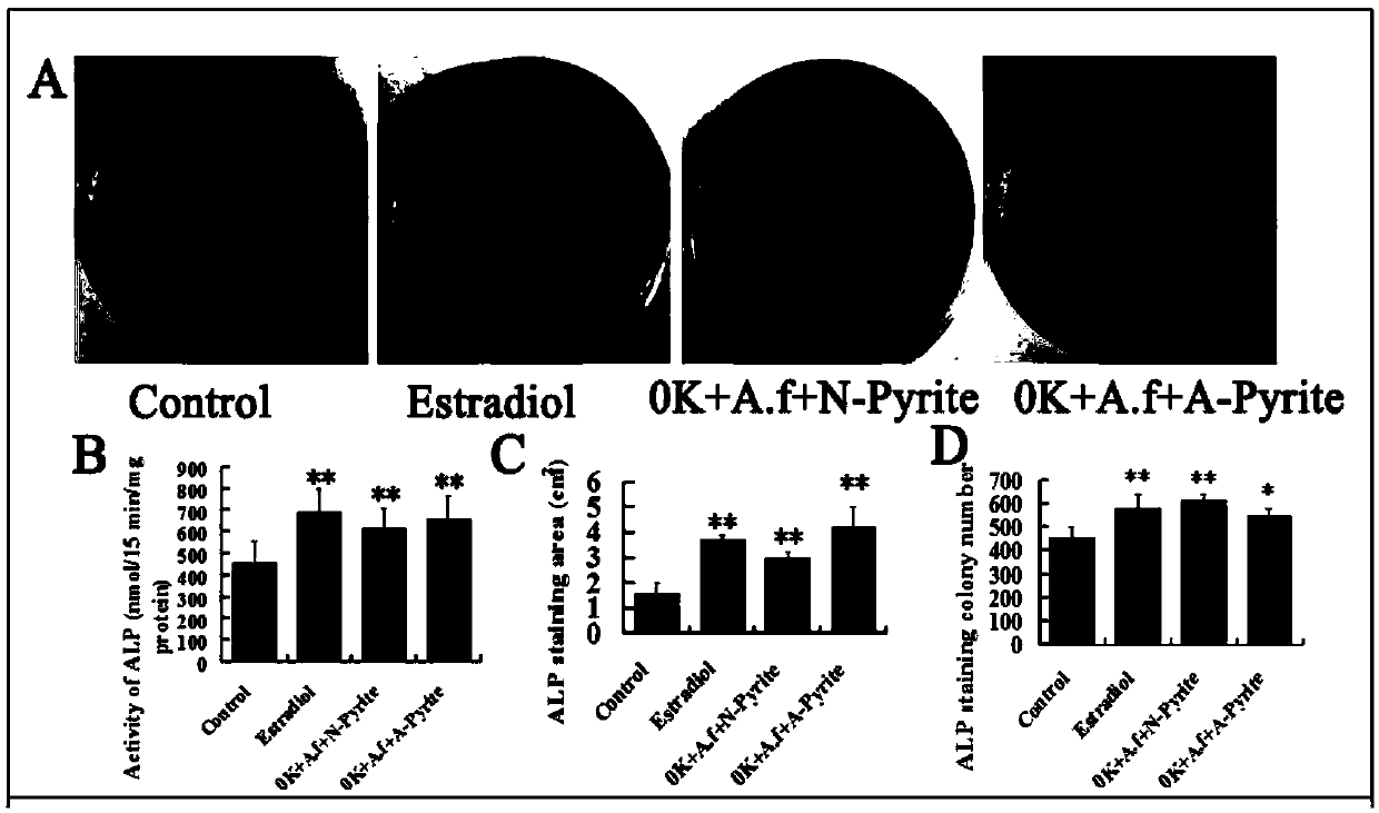 Application of native copper leachate in preparation of medicine for promoting differentiation of bone marrow mesenchymal stem cells