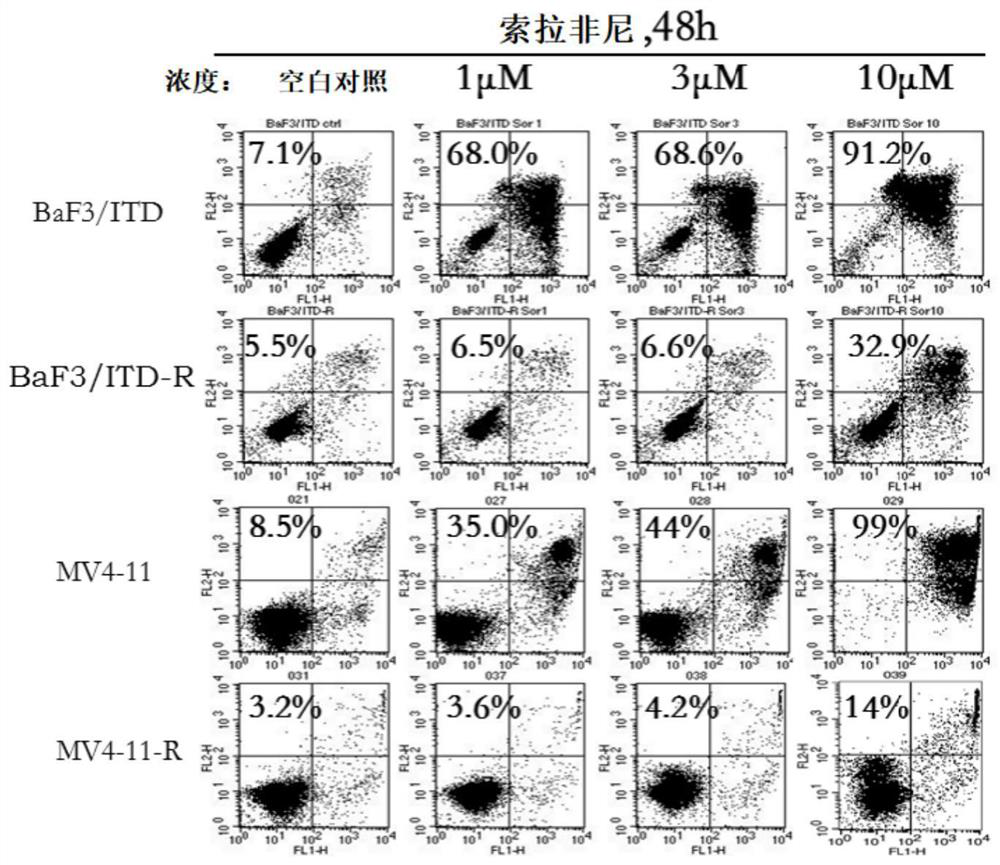 Application of PI3K inhibitor in preparation of drug for treating drug resistance to FLT3 inhibitor