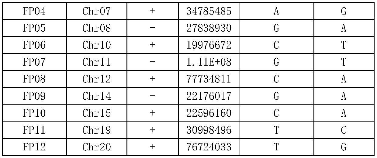 Primer combination and kit for identifying flue-cured tobacco Nanjiang No. 3, application and detection method