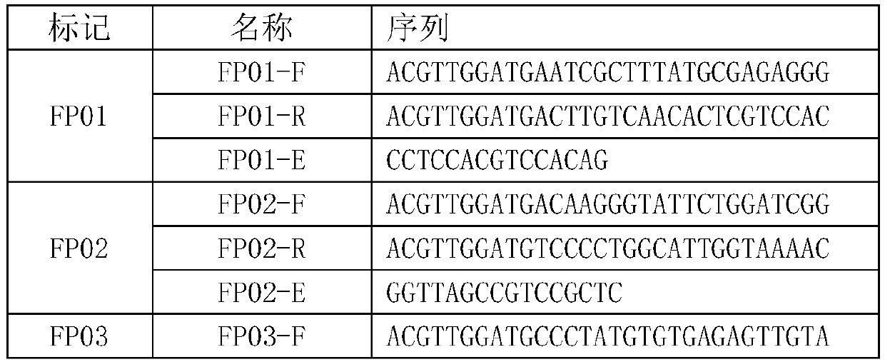 Primer combination and kit for identifying flue-cured tobacco Nanjiang No. 3, application and detection method