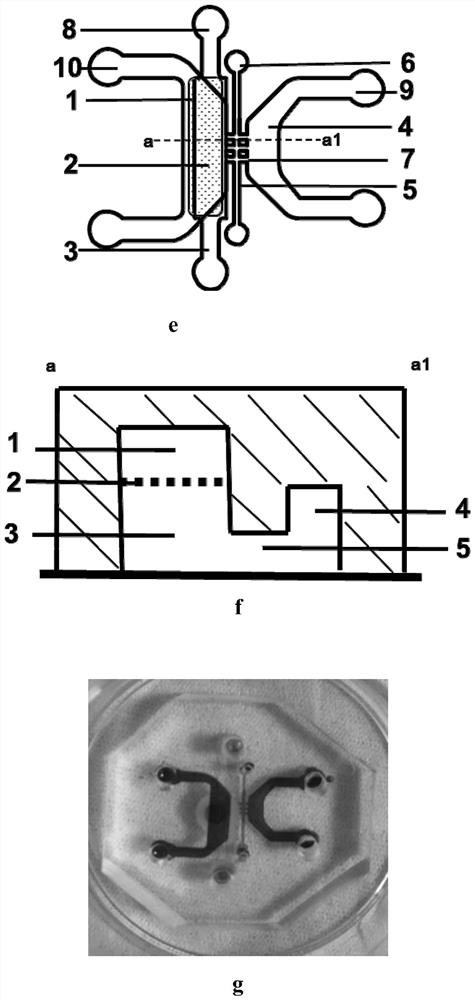 A microfluidic chip of a bionic multi-energy biological interface system and its preparation method