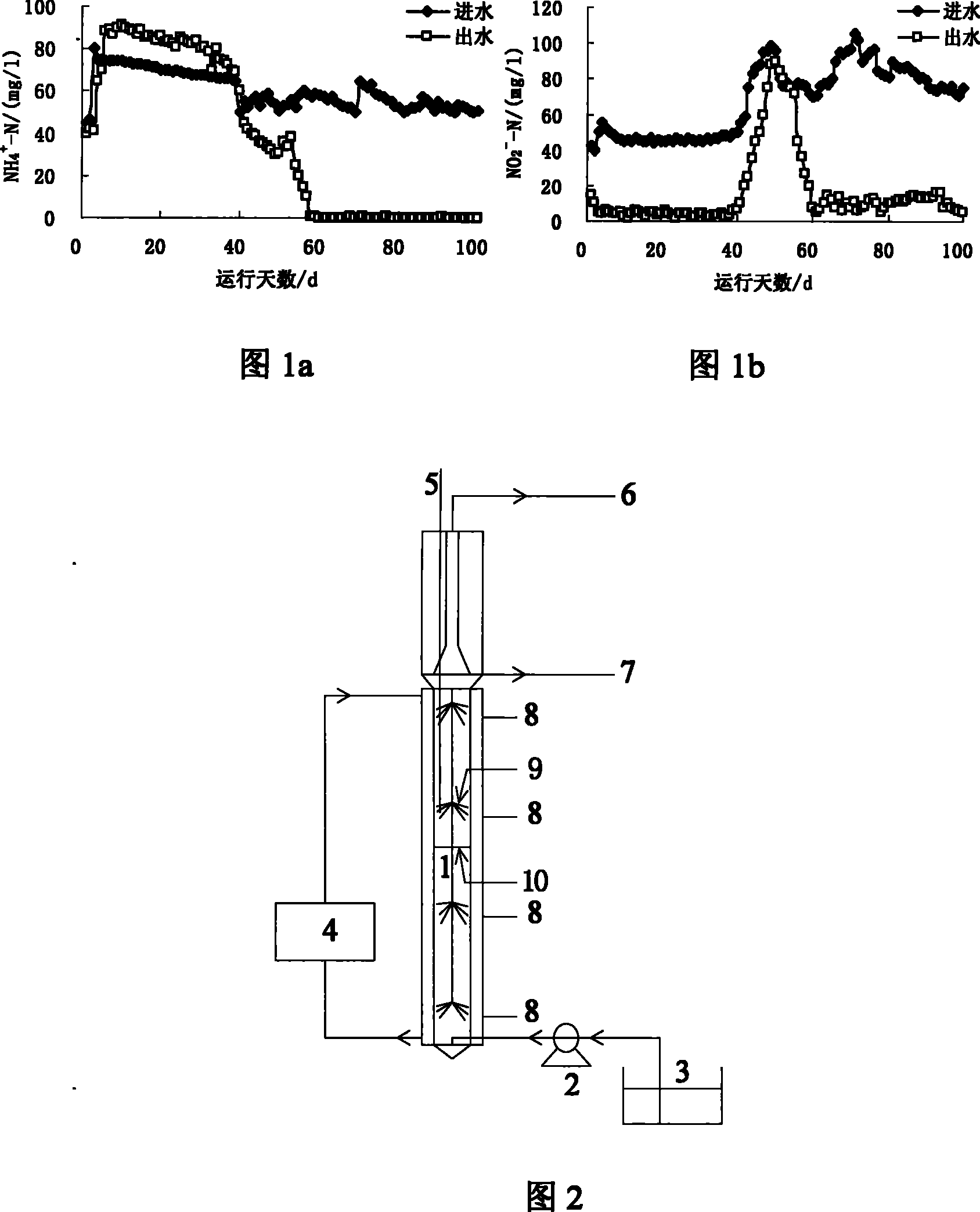 Method for rapidly culturing anaerobic ammonium oxidation bacteria by up-flow type anaerobic sludge bed reactor