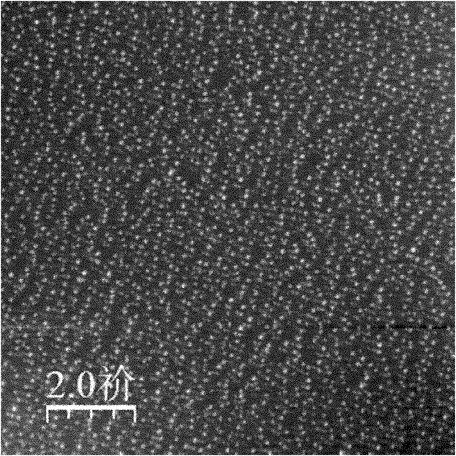 Binary material (Zr,Ce)O2 nanodots, and preparation method and application thereof