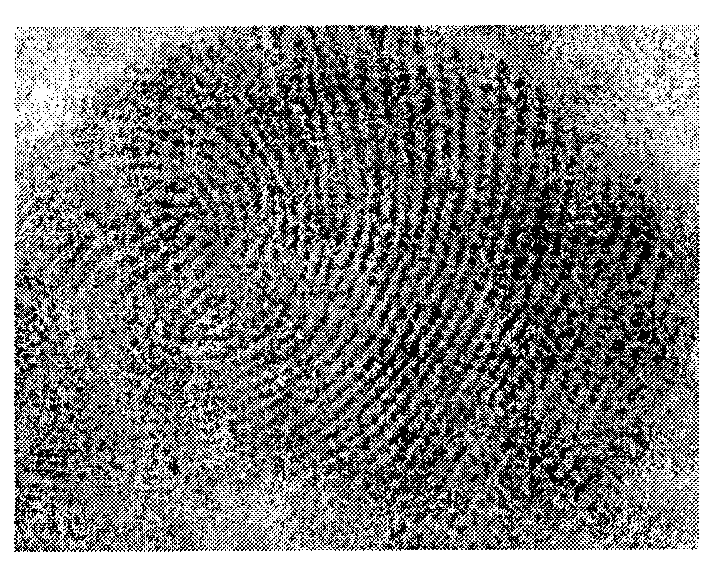 Method for showing fingerprints on various object surfaces and keeping DNA information