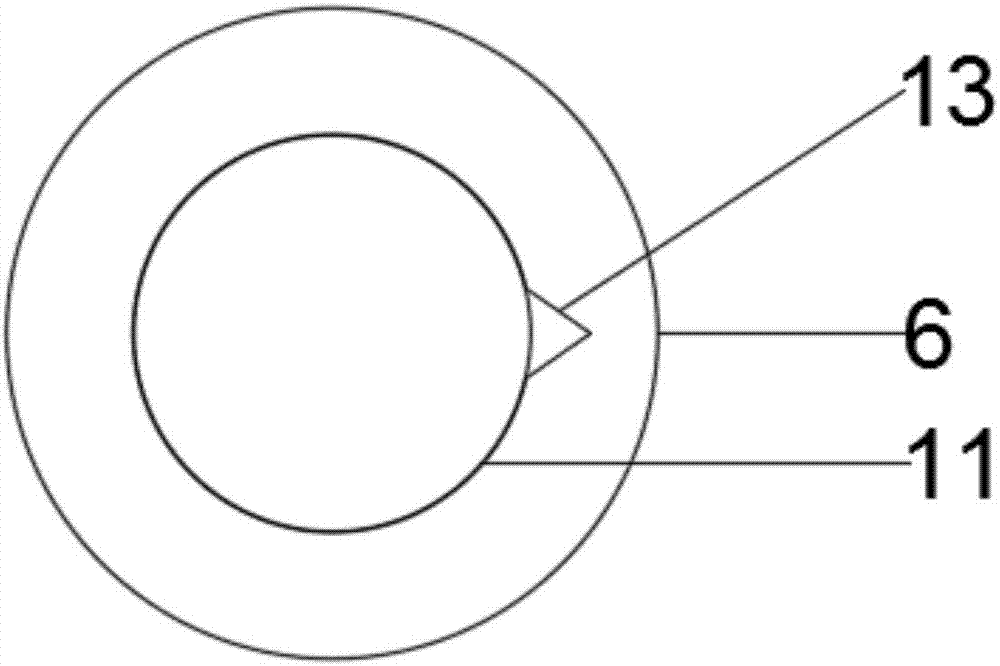 Grinding filter used for biological teaching