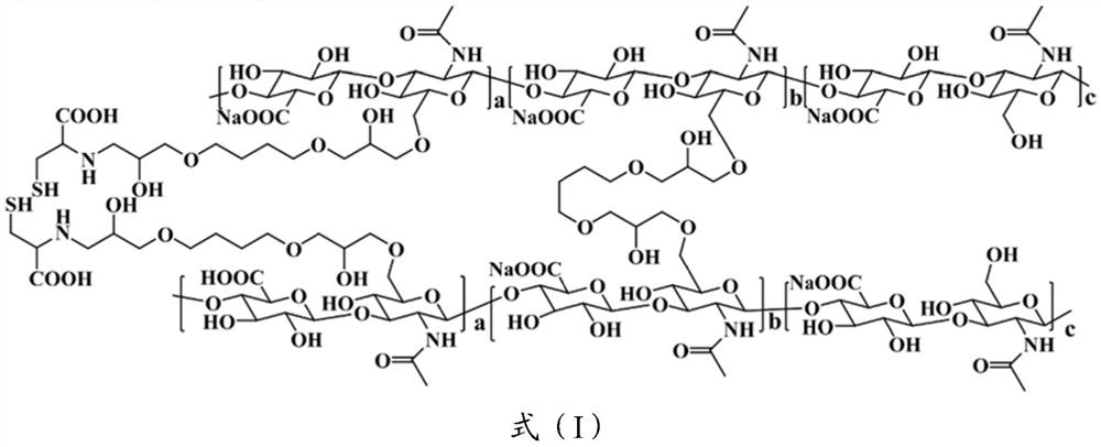 Adhesive sodium hyaluronate gel for injection and preparation method thereof