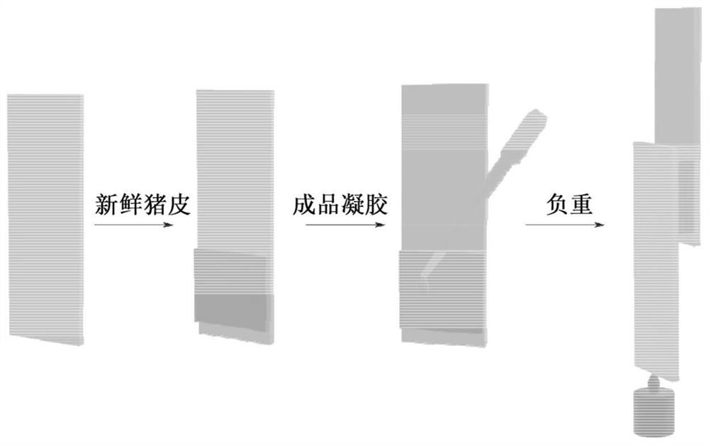 Adhesive sodium hyaluronate gel for injection and preparation method thereof