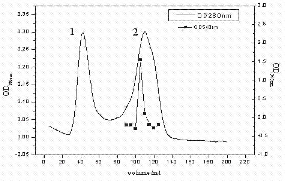 Bacterial strain capable of secreting cellulase as well as cellulase extraction method and application thereof