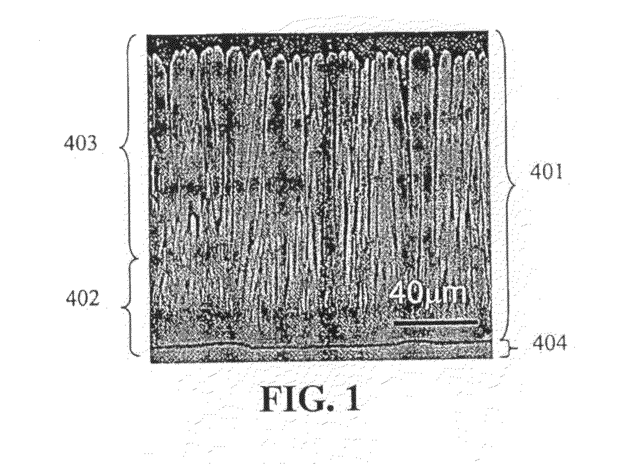 Method for Application of a Thermal Barrier Coating and Resultant Structure Thereof