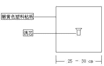 Method for preventing and controlling empoasca vitis by trapping