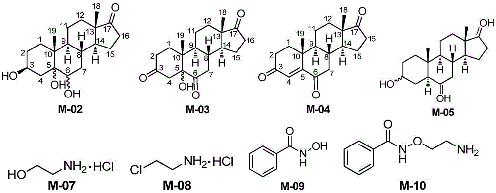 Novel synthesis method of Istaroxime