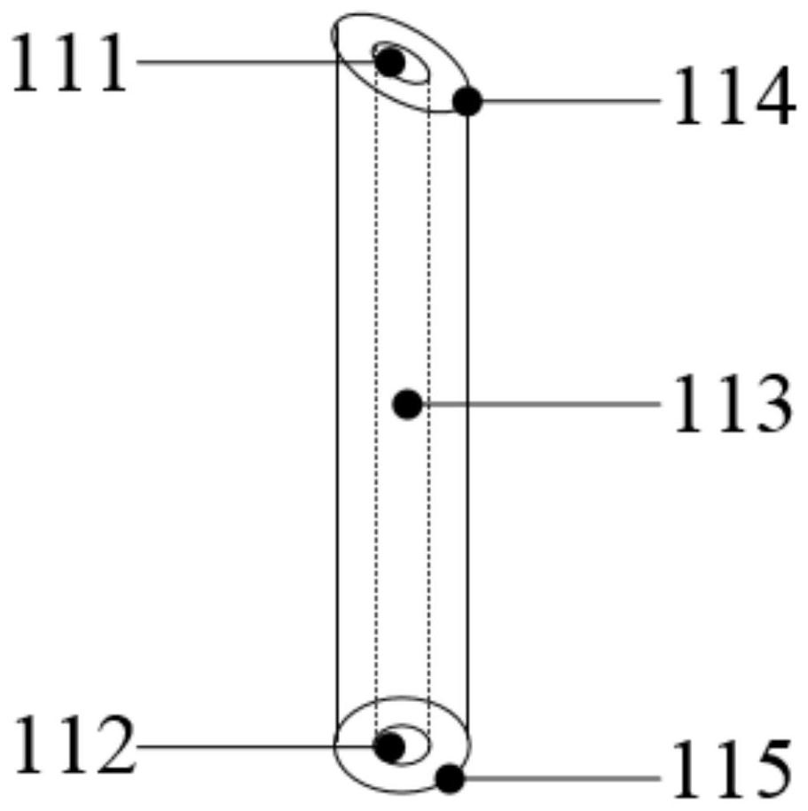 Cell irreversible electroporation device and cell irreversible electroporation method