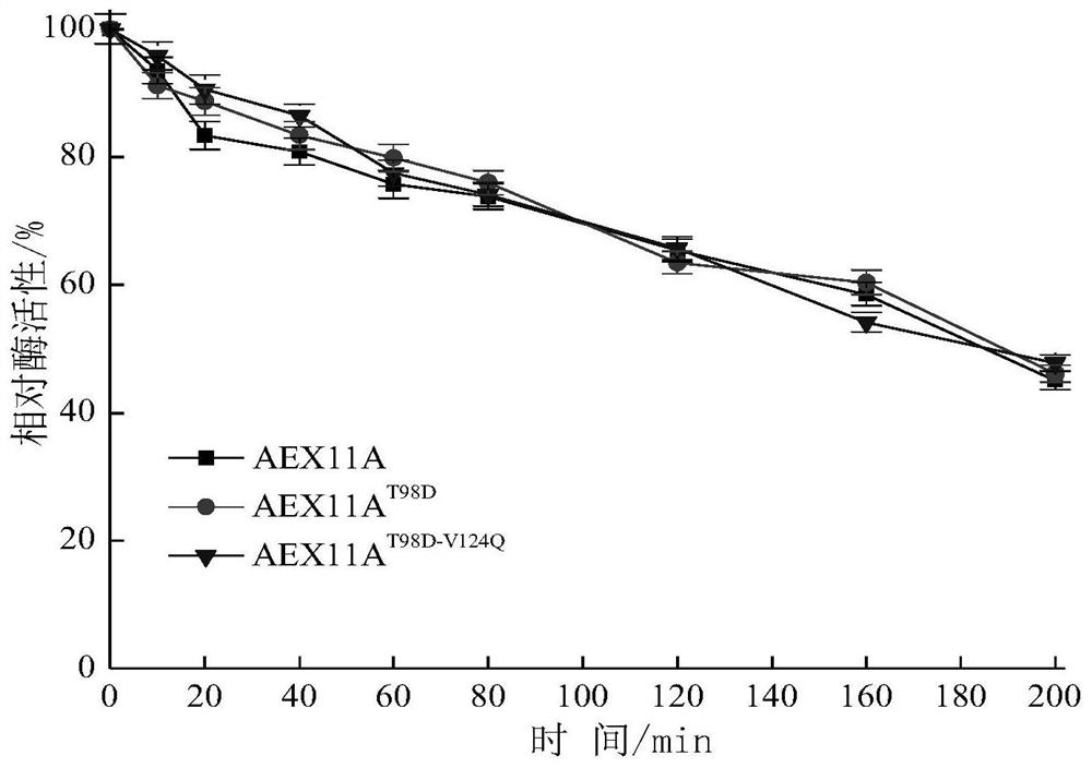 A xylanase mutant with improved catalytic efficiency