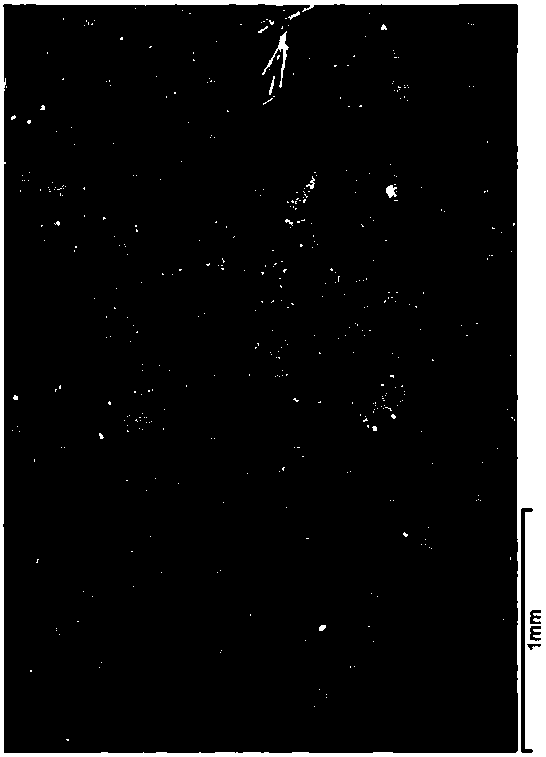 Sandstone acid-rock reaction visualization quantitative evaluation method