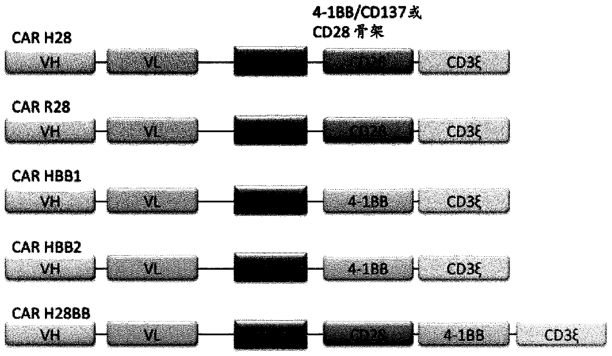 Chimeric antigen receptor and car-t cells that bind cxcr5