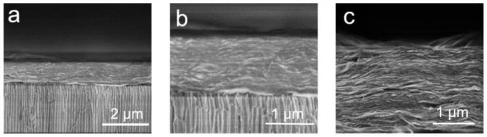 Two-dimensional/one-dimensional heterogeneous nanochannel membrane, its preparation method and application
