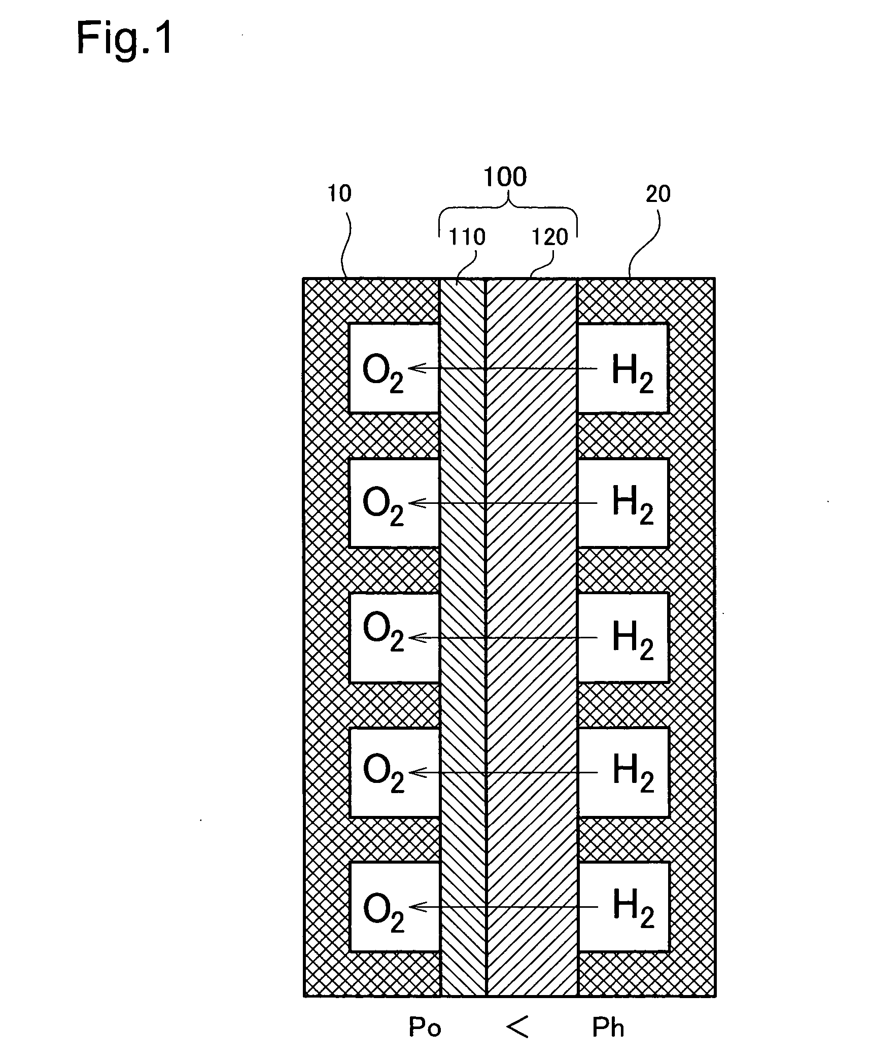 Fuel cell and method for manufacturing electrolyte membrane for fuel cell