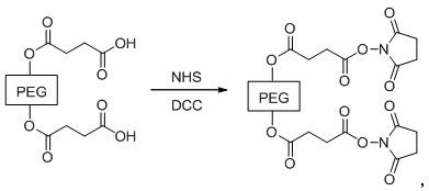 Preparation method of water-soluble toluylene compound prodrugs