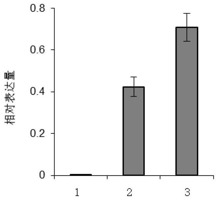 A kind of breeding method of low temperature resistant cotton variety