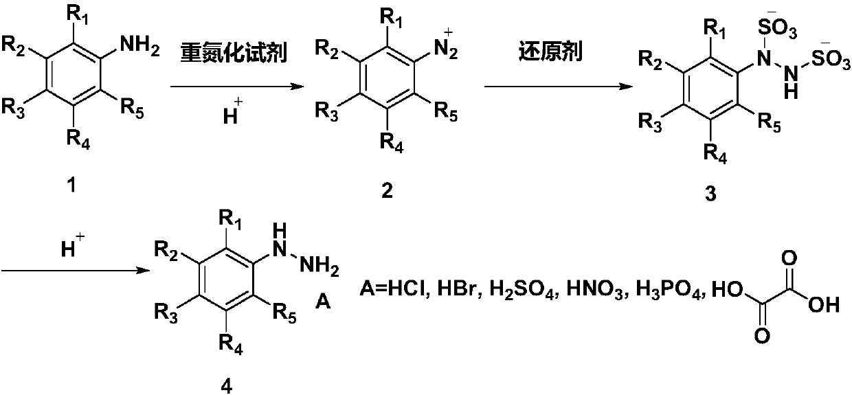 Phenyl hydrazine and substituted phenyl hydrazine continuous flow synthesis process