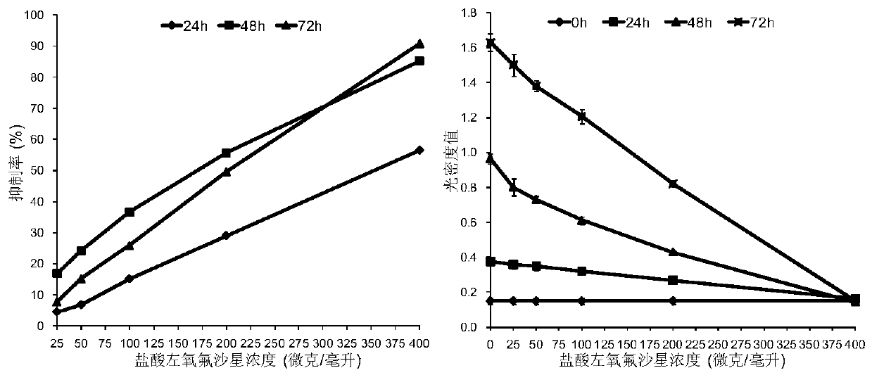 Application of levofloxacin antibiotic in preparation of sensitization drug for anticancer drugs and anticancer drug comprising levofloxacin antibiotic