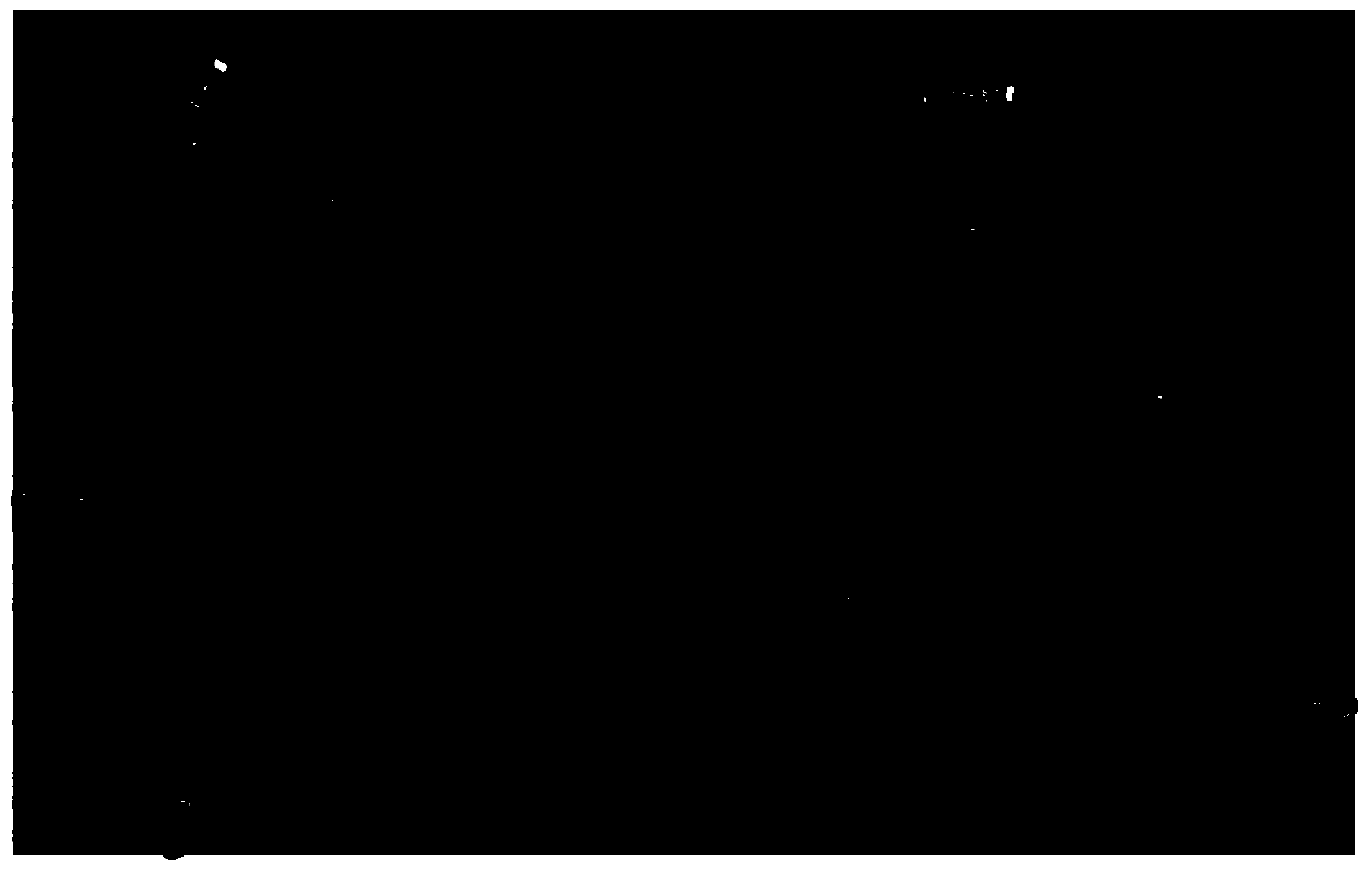 A method for locating a stacker and reclaimer in a bulk cargo yard based on point cloud data processing technology and a system for implementing the method