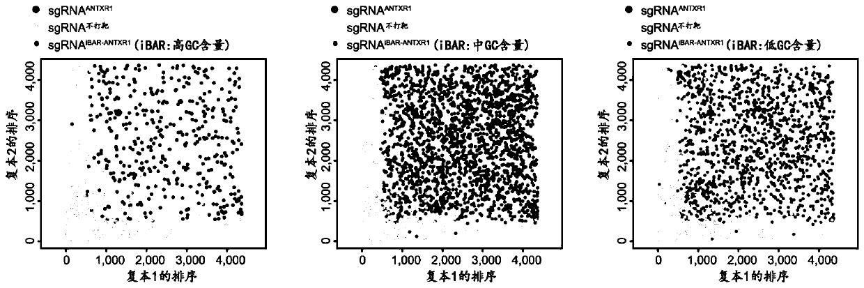 Composition and method for efficient gene screening through tagged guide RNA constructor