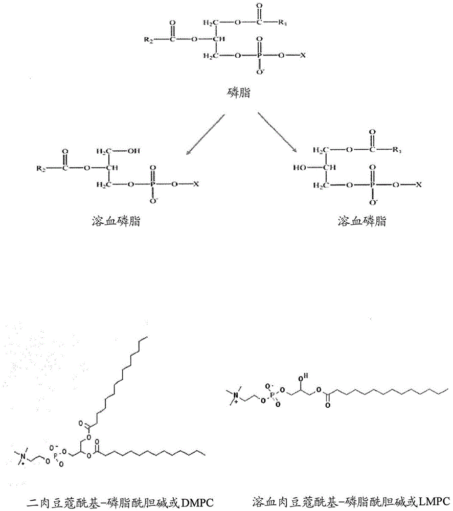 Stabilized glucagon nanoemulsions