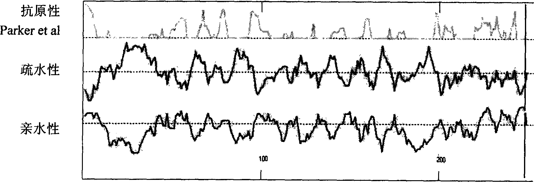 Recombined 3-type parainfluenza viruse nuclelc shell protein and process for preparing antibody thereof